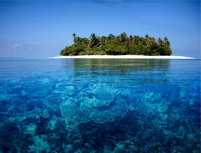 The-Maldives